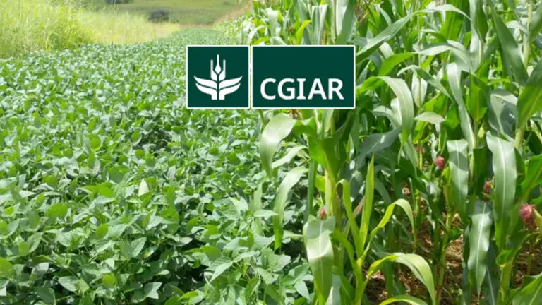 ensuring food systems are life changing